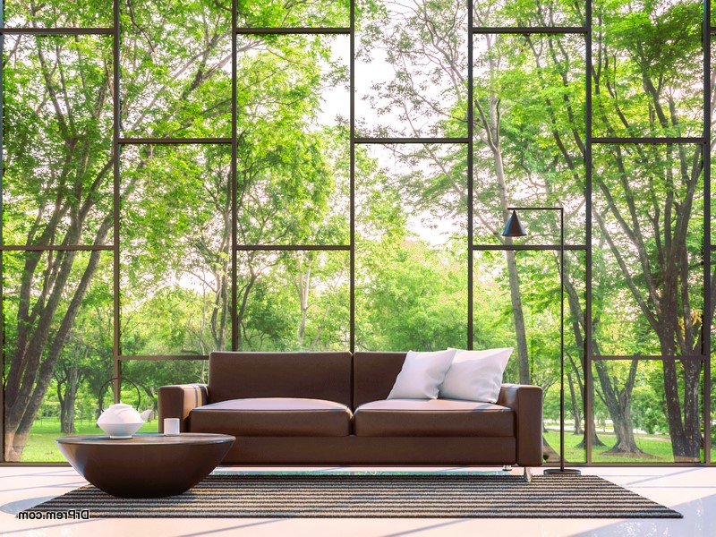 Modern living room with garden